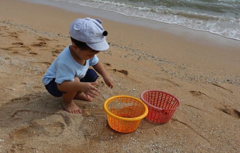 Kids Collecting Shell 