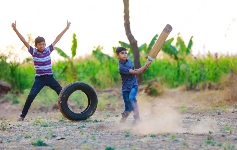 DIY Cricket 